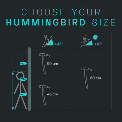 Hummingbird Ice Axe