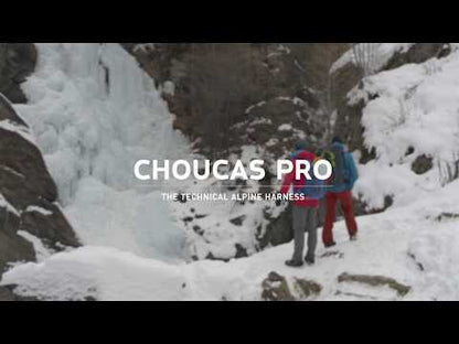 Choucas Pro Harness