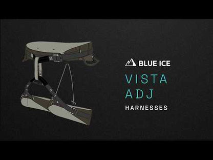 Vista Adjust M&